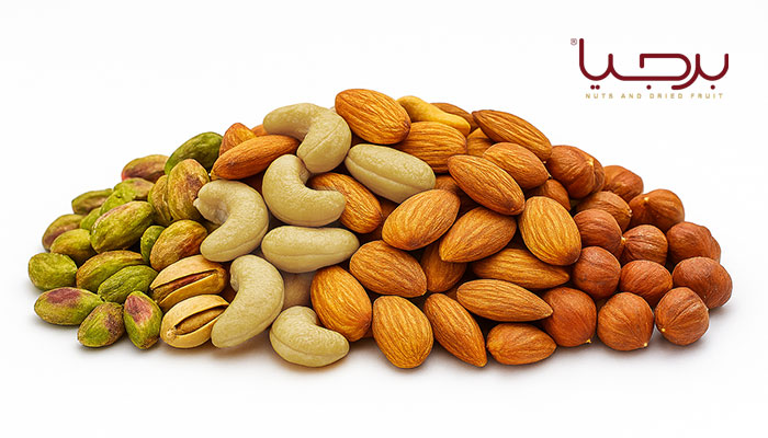 آجیل 4 مغز لوکس خام برجیا