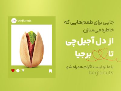 پیج اینستاگرام برجیا