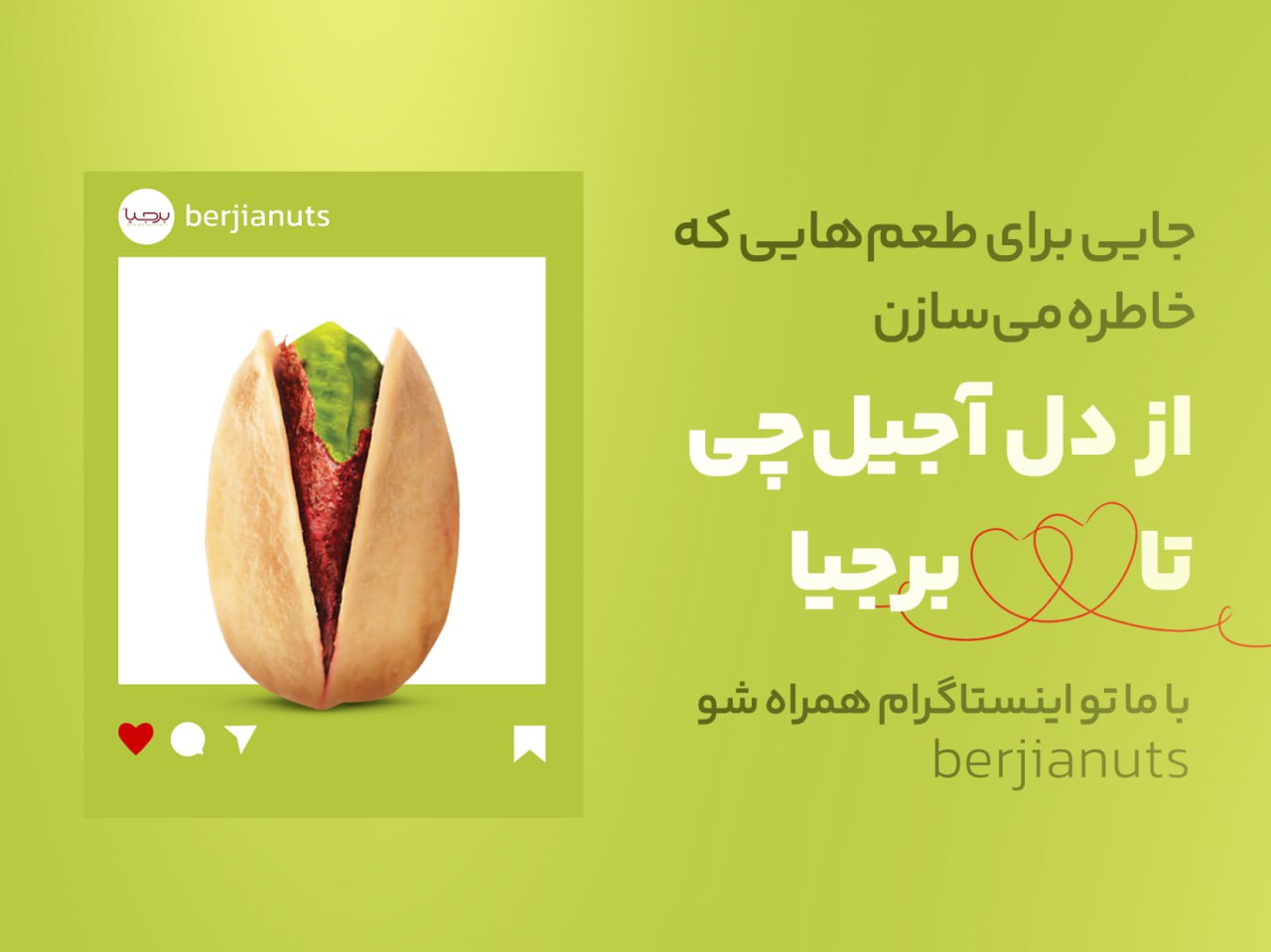 پیج اینستاگرام برجیا سایت