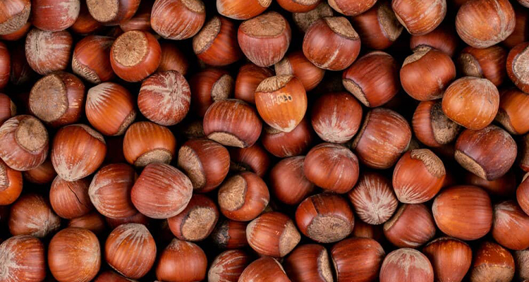 تصویر فندق درجه یک