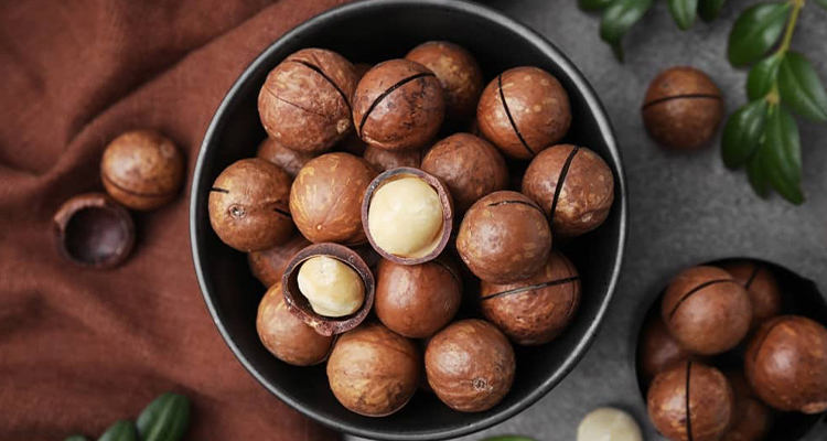 تصویر فندق ماکادمیا اعلاء