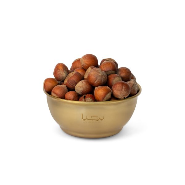 فندق ایرانی خام برجیا