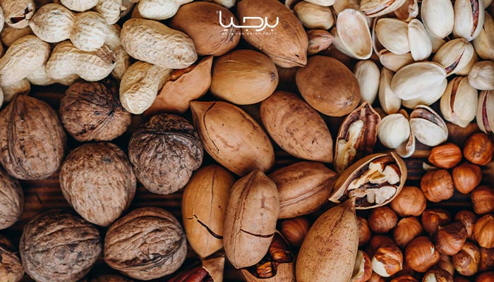 خرید و قیمت آجیل - آجیل و خشکبار برجیا