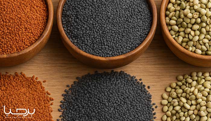 خرید و قیمت دانه ها - آجیل و خشکبار برجیا