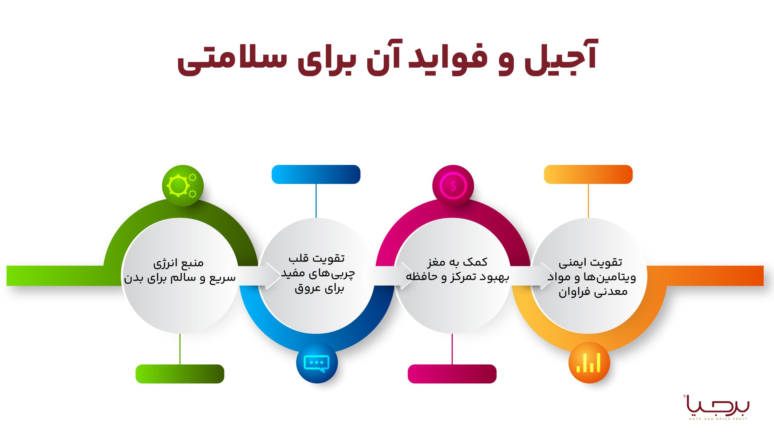 اینفوگرافیک آجیل برجیا