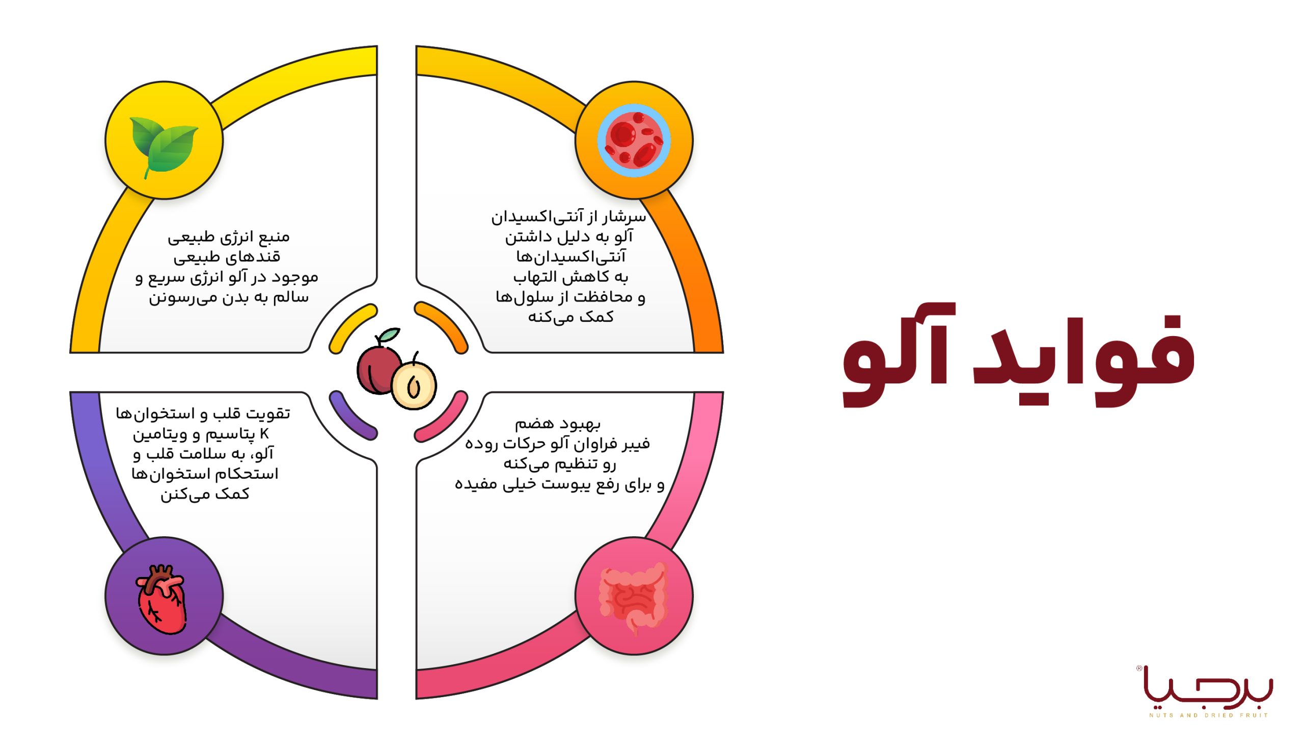 اینفوگرافیک آلو برجیا
