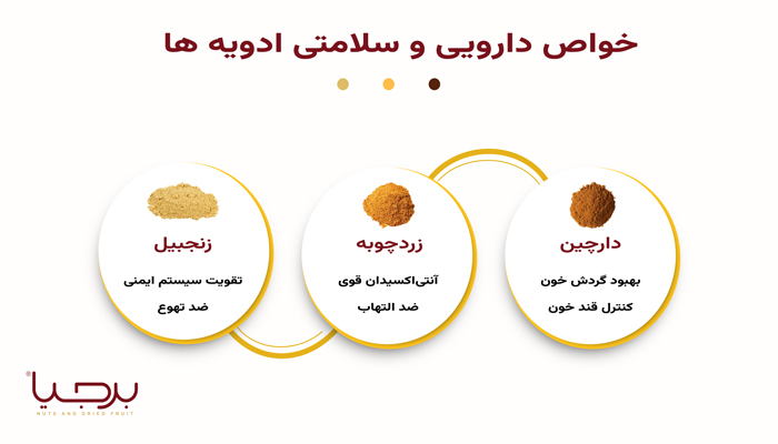 اینفوگرافیک ادویه برجیا