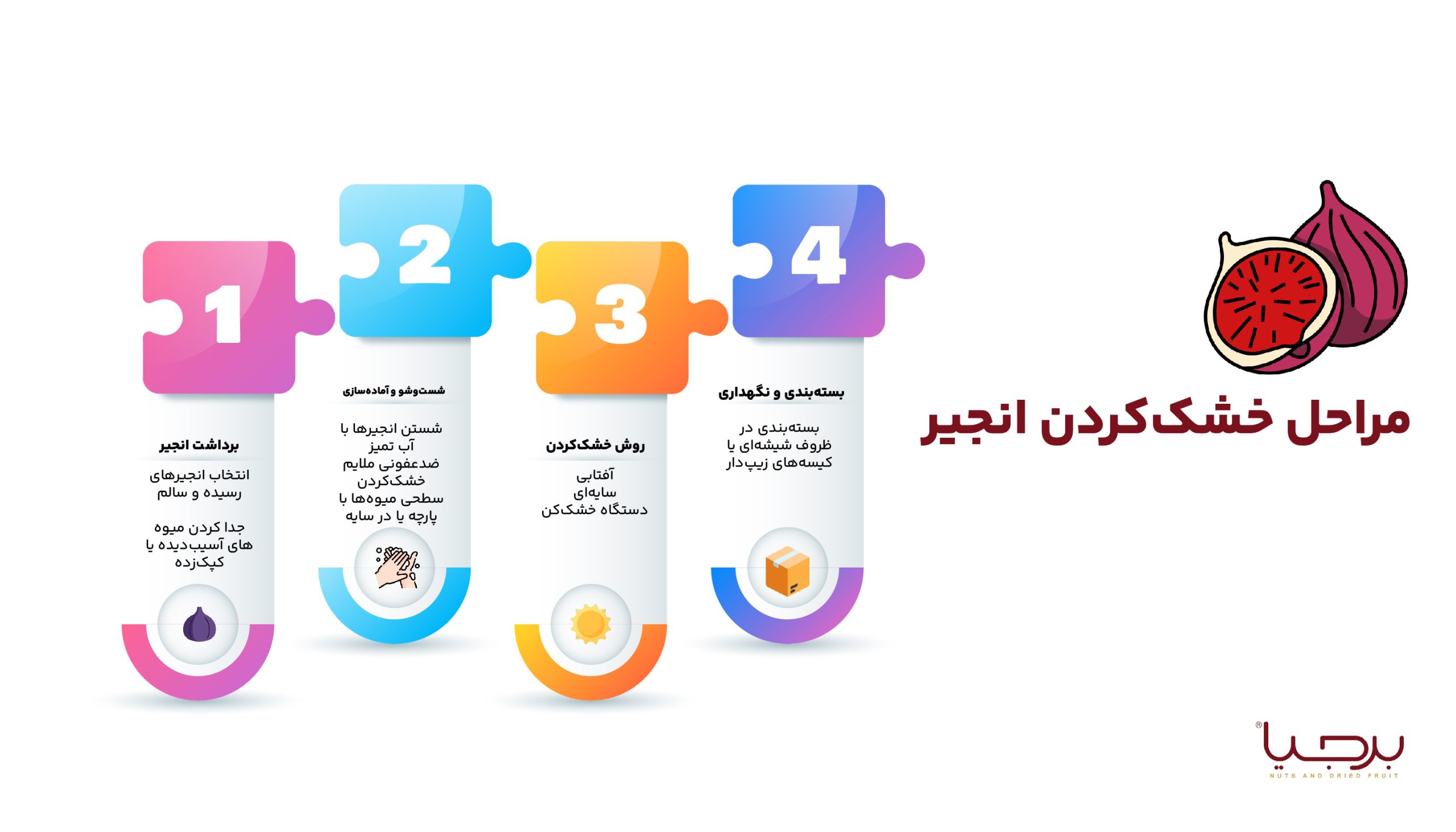 اینفوگرافیک انجیر برجیا