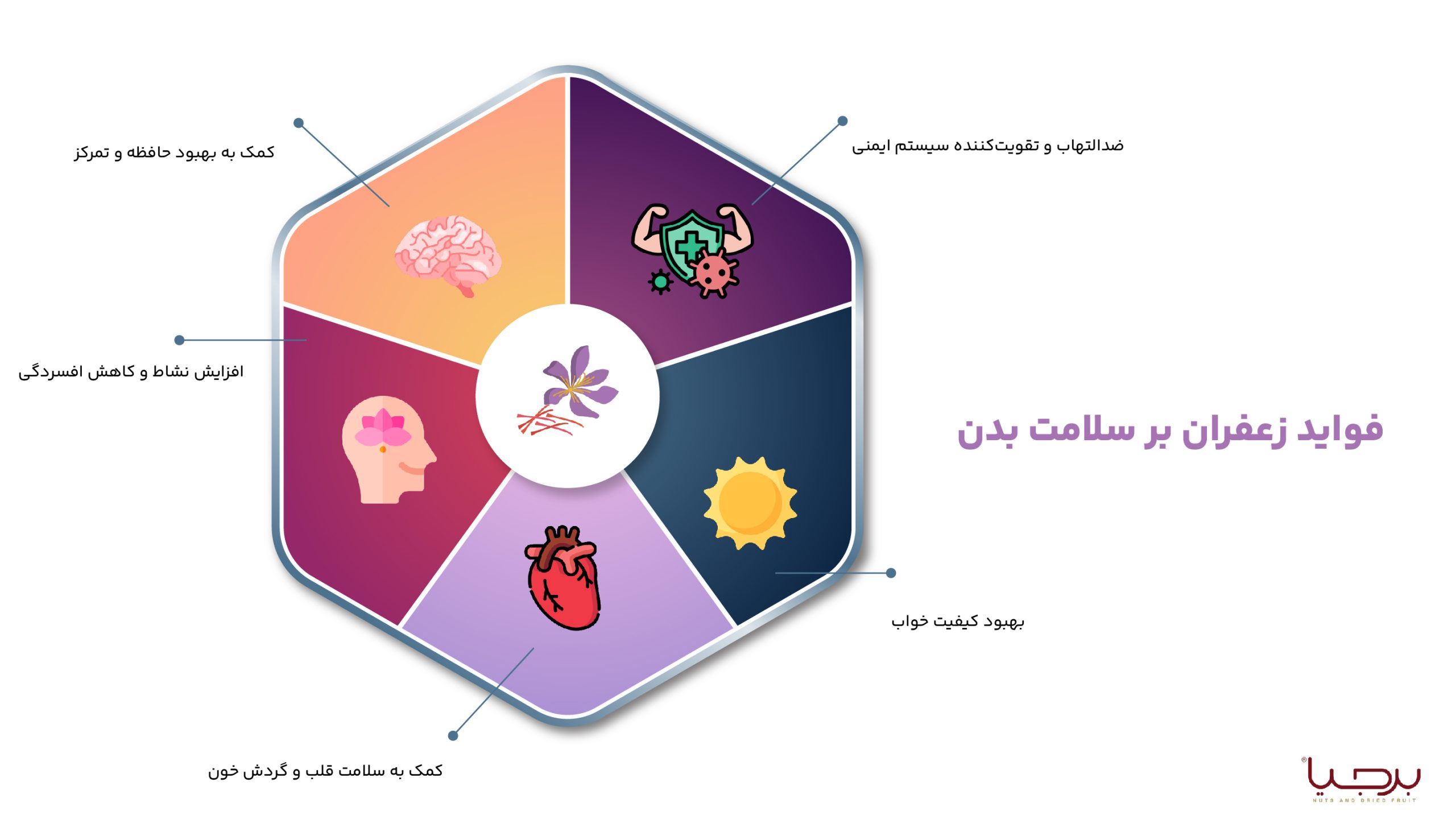 اینفوگرافیک فواید زعفران برجیا