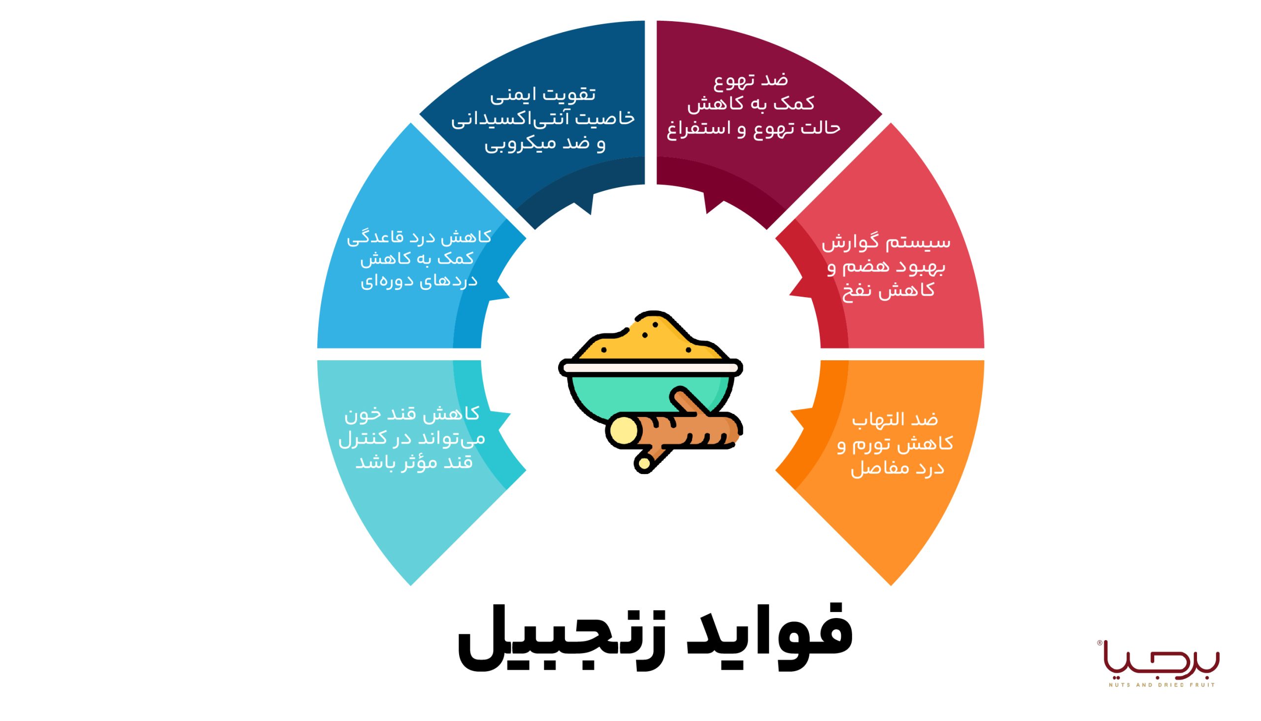 اینفوگرافیک زنجبیل برجیا