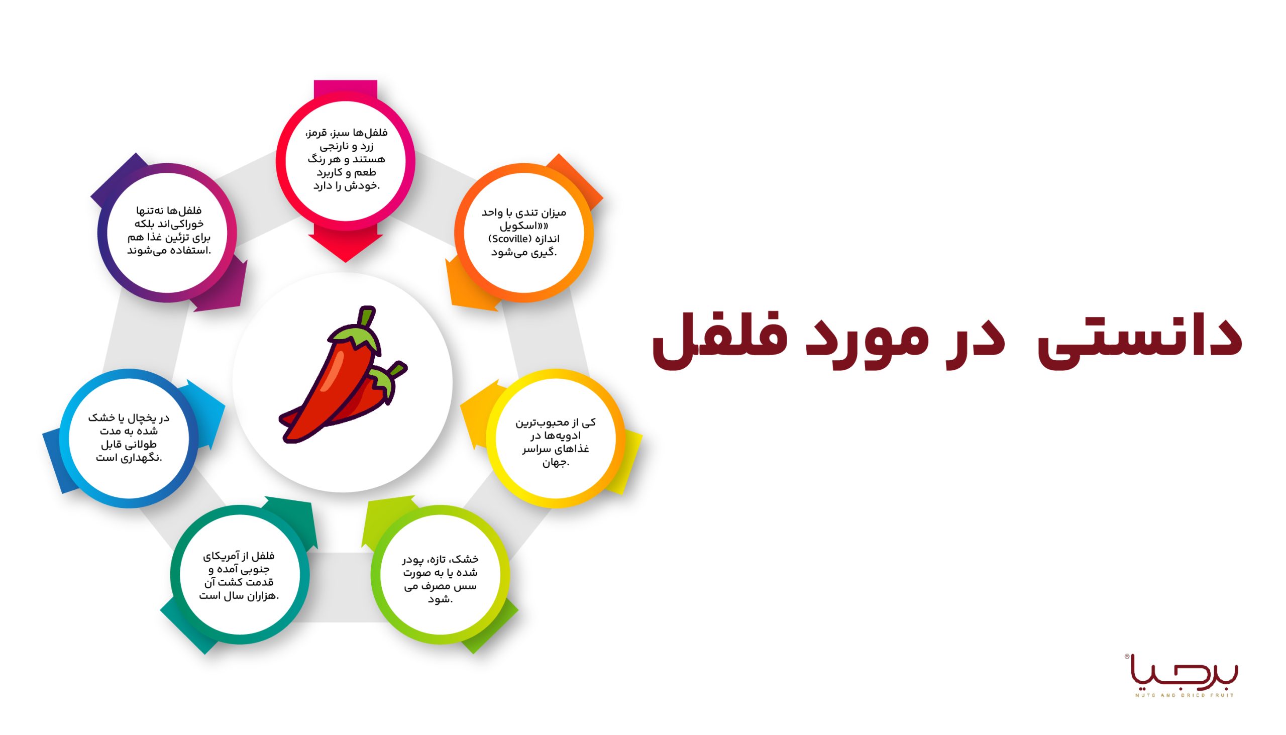 اینفوگرافیک فلفل برجیا
