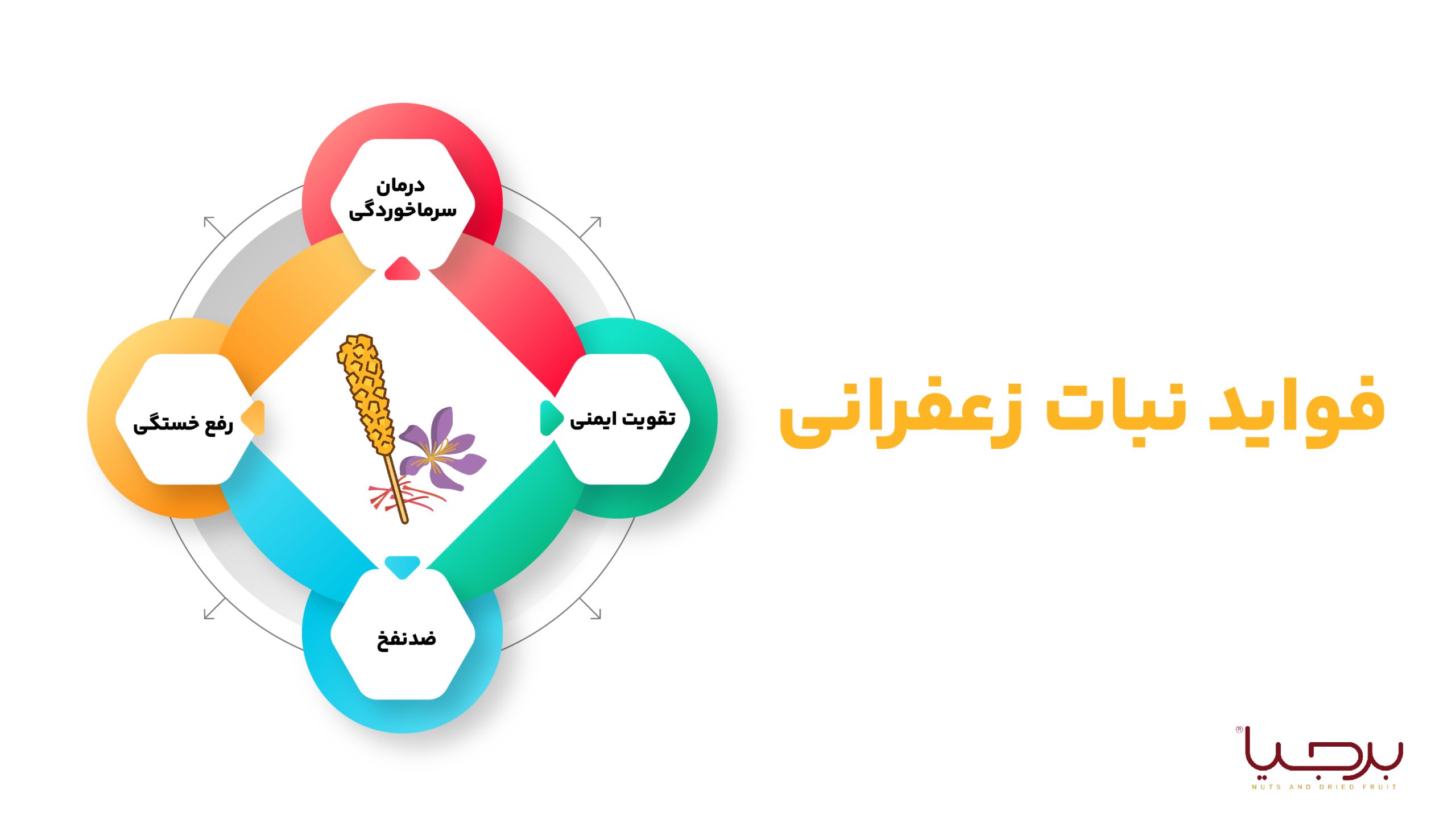 اینفوگرافیک فواید نبات