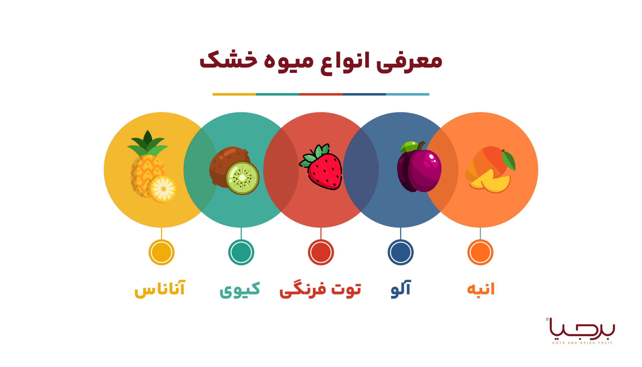 اینفوگرافیک معرفی انواع میوه خشک