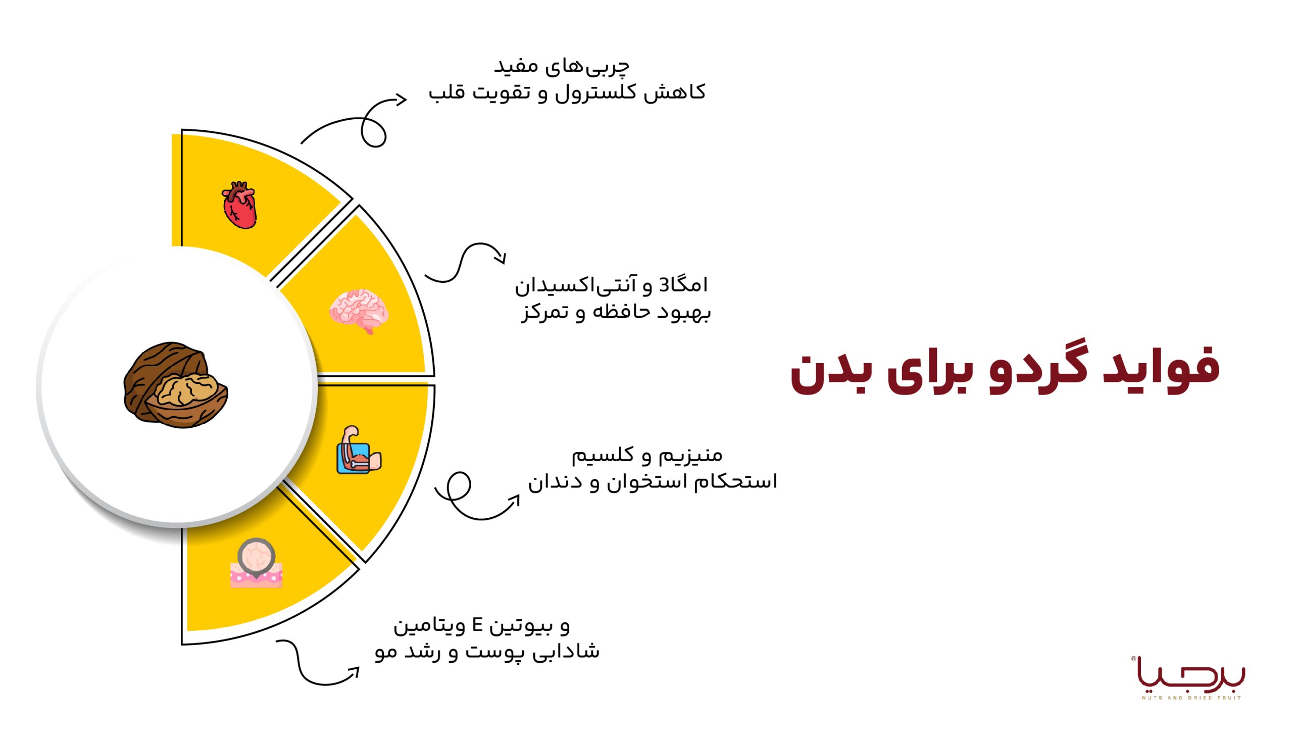 اینفوگرافیک گردو برجیا