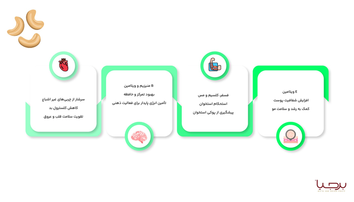 اینفوگرافیک بادام هندی برجیا