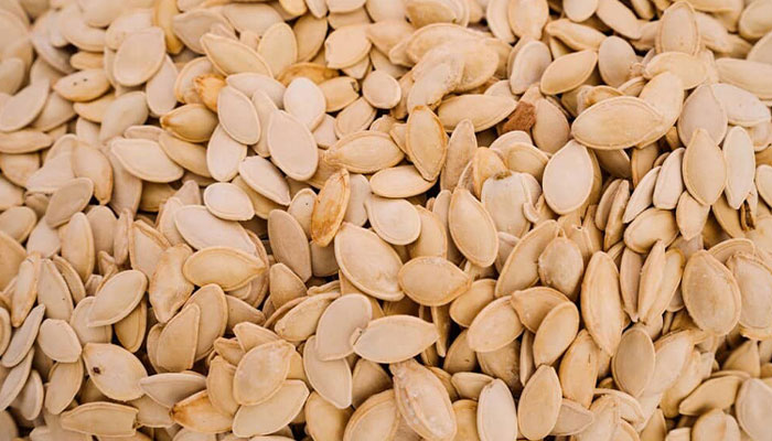 عکس تخمه کدو