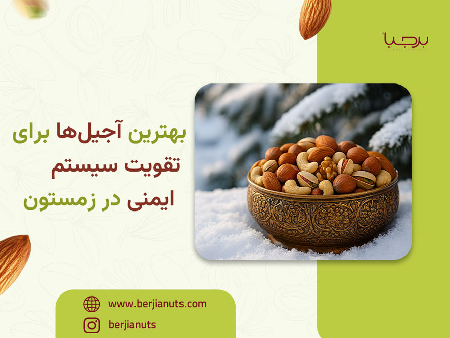 بهترین آجیل‌ها برای تقویت سیستم ایمنی در زمستون