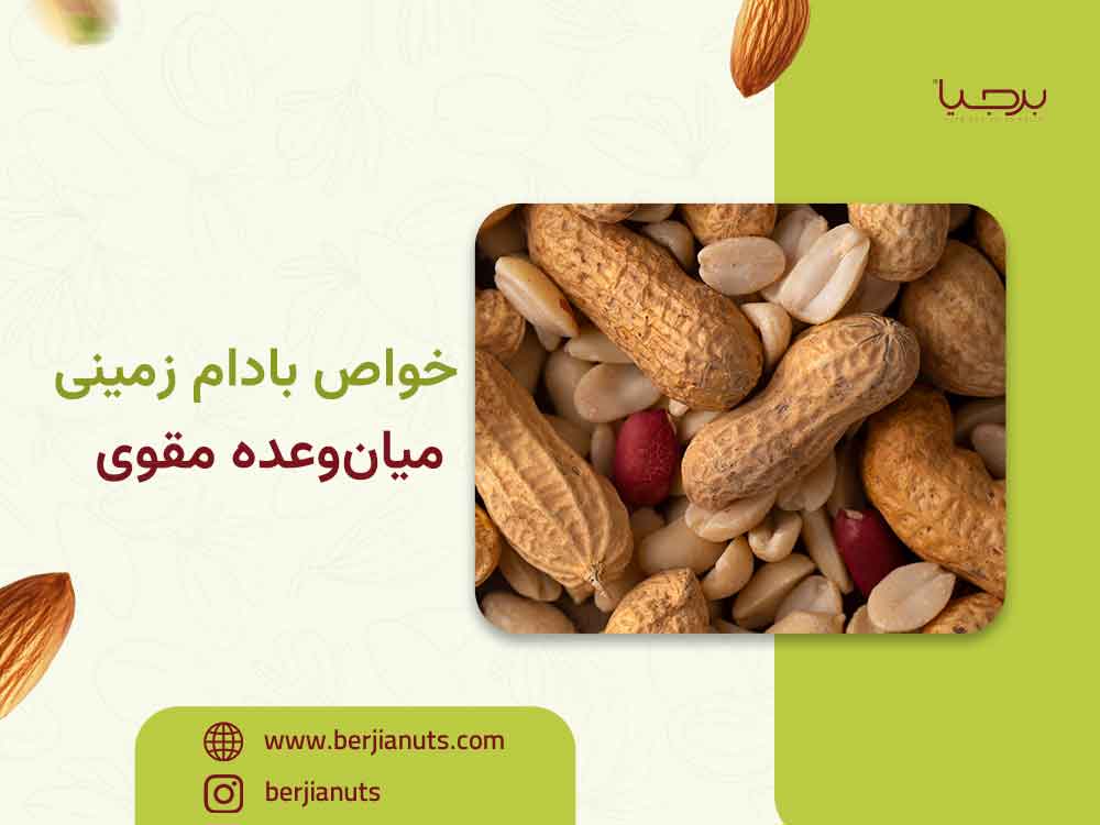 خواص بادام زمینی | میان‌وعده مقوی برای انرژی، عضله‌سازی و سلامت قلب