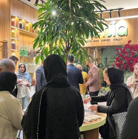 فروشگاه حضوری برجیا